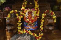 Ratha Shuddhi Homa - 165th Shri Chitrapur Rathotsava 2026 - Day 6 (2nd April 2026) Pictures Courtesy Shri Dinesh Karkal